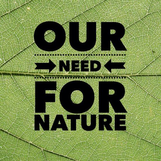 Our Need For Nature