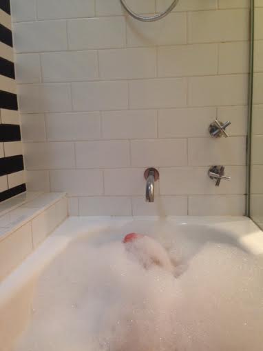 bathtub qt hotel gold coast
