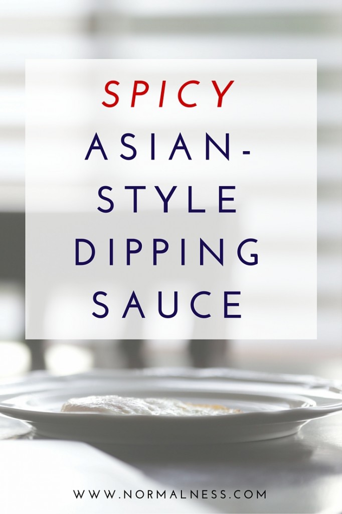 Spicy Asian Style Dipping Sauce