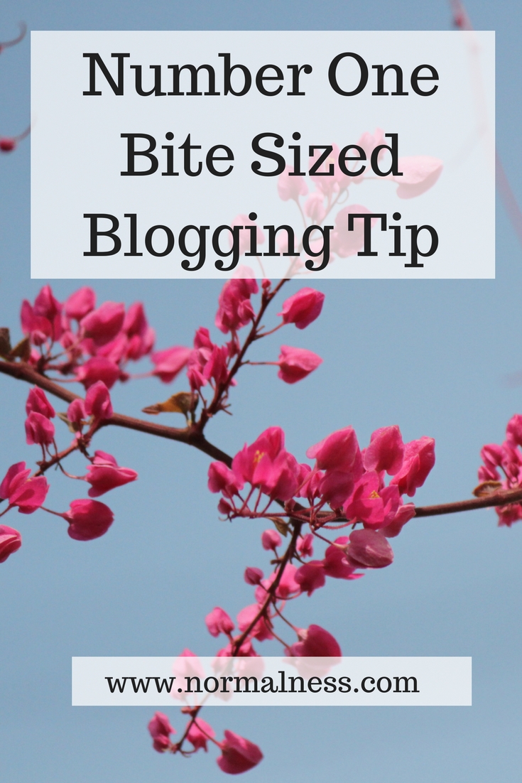 Number One Bite Sized Blogging Tip