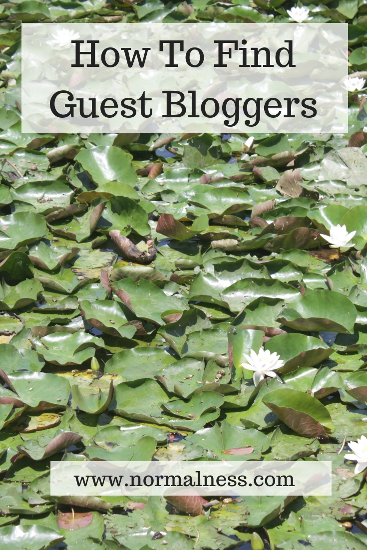 How To Find Guest Bloggers