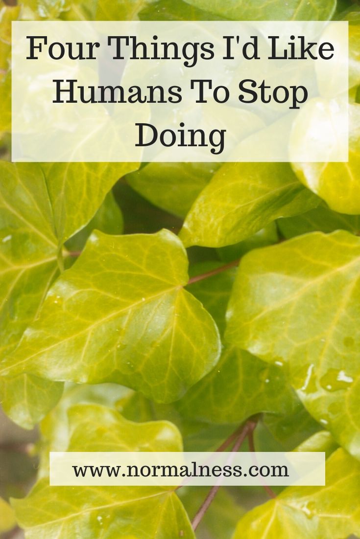Four Things I'd Like Humans To Stop Doing