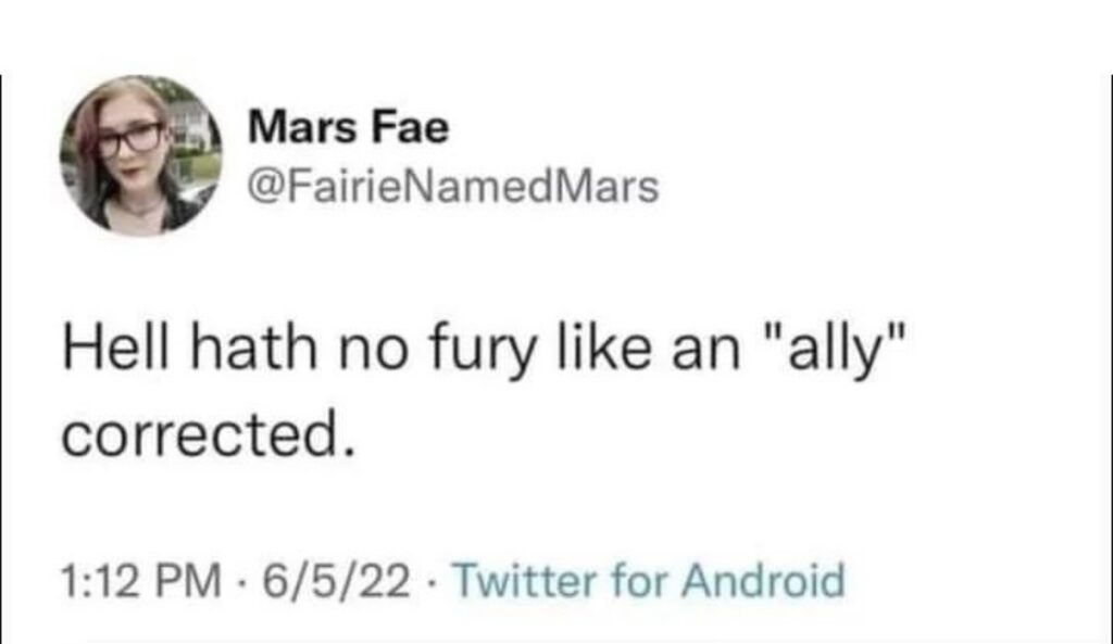 A tweet that says "Hell hath no fury like an "ally" corrected".