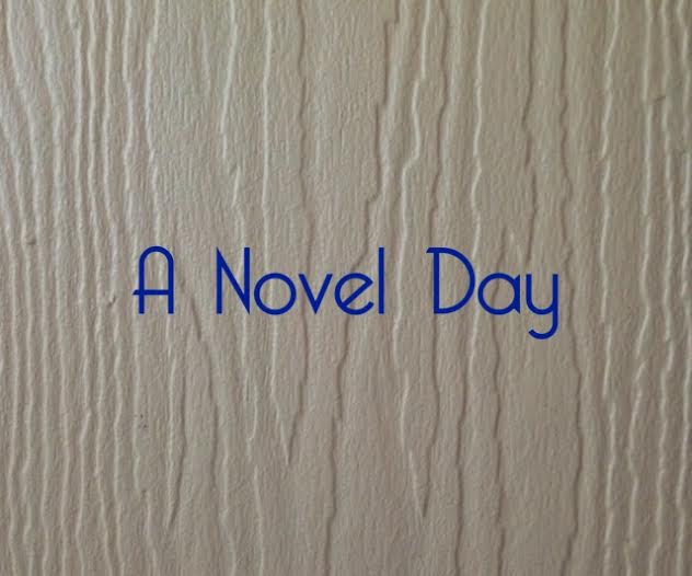 A Novel Day