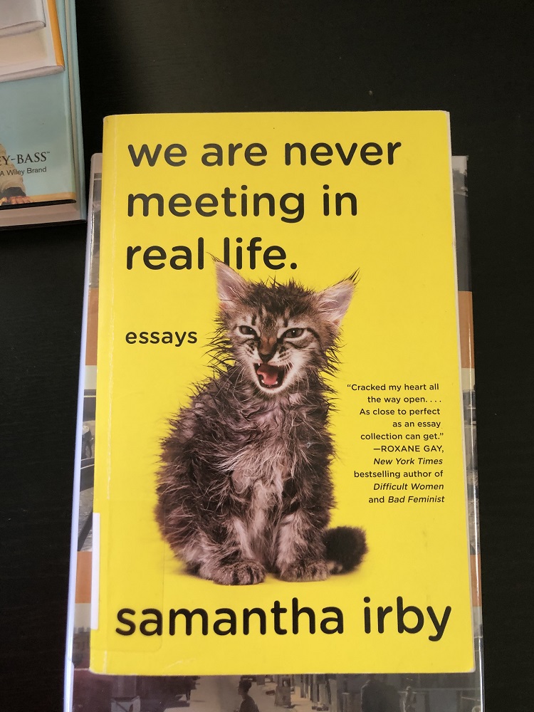 we are never meeting in real life book